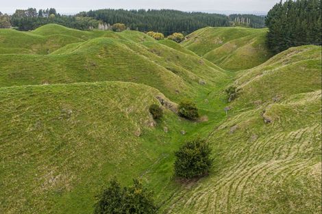 Photo of property in 81 Kaiwaka Road, Tangoio, Napier, 4181