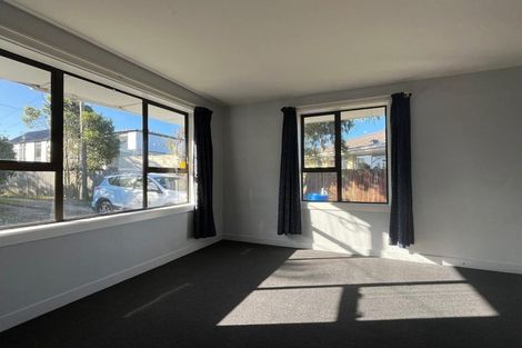 Photo of property in 36 Wellington Street, Phillipstown, Christchurch, 8011