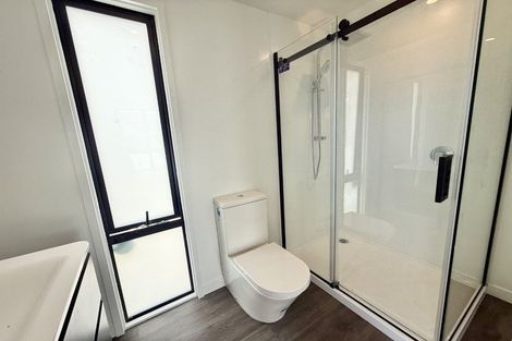 Photo of property in 217 Oxford Terrace, Avalon, Lower Hutt, 5011
