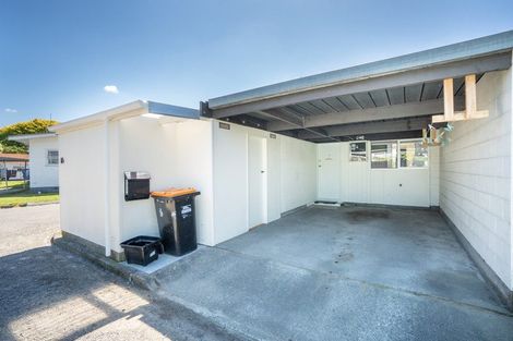 Photo of property in 125 Ferguson Street, West End, Palmerston North, 4412