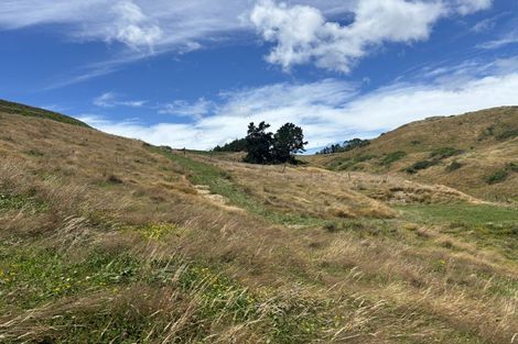 Photo of property in 557 Palmer Mill Road, Wairakei, Taupo, 3384