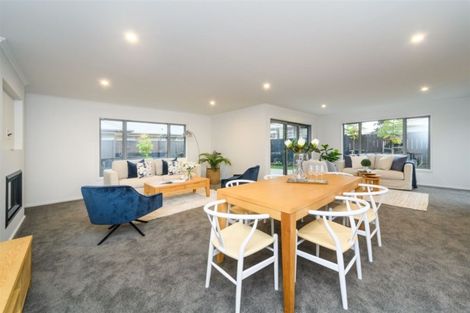 Photo of property in 48 Weston Avenue, Roslyn, Palmerston North, 4414