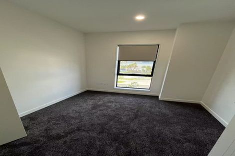 Photo of property in 29 Gunn Way, Hobsonville, Auckland, 0616