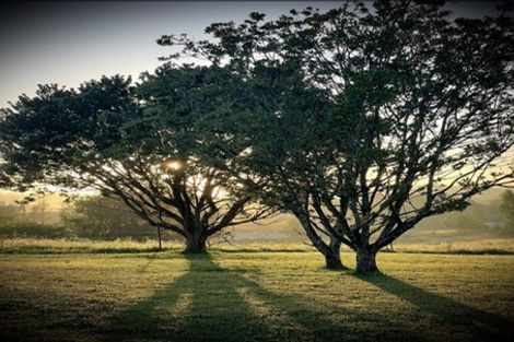 Photo of property in 55 Wattle Lane, Kaiwaka, 0573