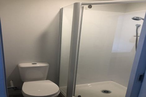 Photo of property in 4u3 Hammond Street, Hamilton Central, Hamilton, 3204