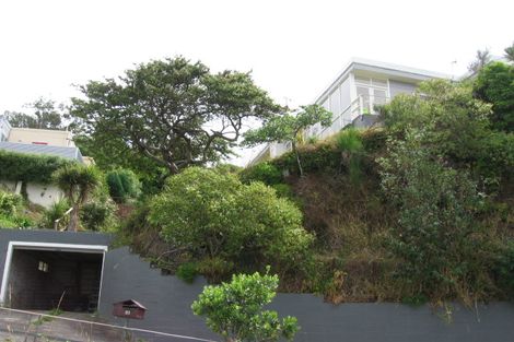 Photo of property in 33 Whaui Street, Vogeltown, Wellington, 6021