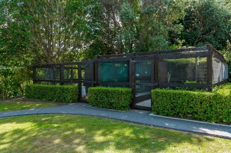 Photo of property in 745 No 4 Road, Te Puke, 3183