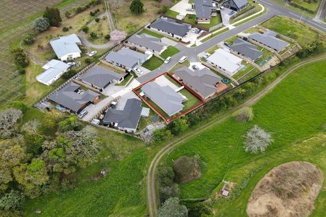 Photo of property in 11 Massee Way, Te Puke, 3119
