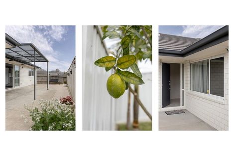 Photo of property in 26 Brabant Street, Whakatane, 3120