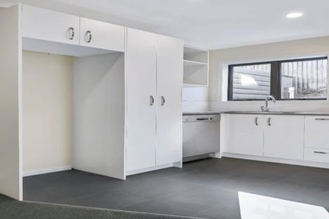 Photo of property in 3u3 Palmerston Street, Hamilton Central, Hamilton, 3204