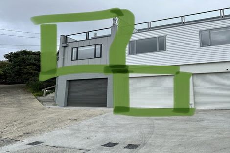 Photo of property in 27u1 Whaui Street, Vogeltown, Wellington, 6021