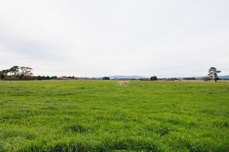 Photo of property in 92 Reserve Road, Longburn, Palmerston North, 4412