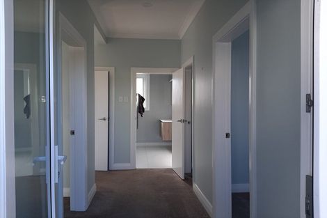 Photo of property in 37 Tauhinu Road, Miramar, Wellington, 6022