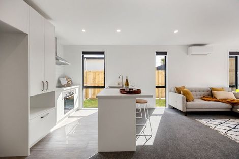 Photo of property in 155u3 Rimu Street, Maeroa, Hamilton, 3200