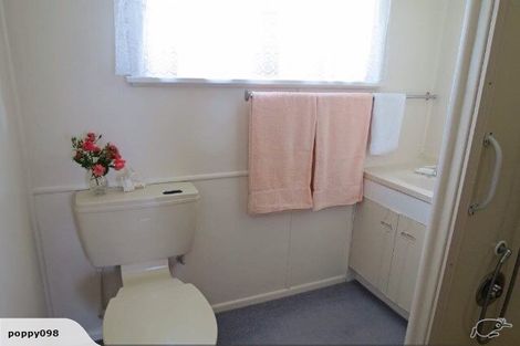 Photo of property in 29 Coddington Crescent, Masterton, 5810