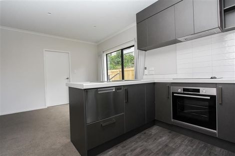 Photo of property in 18u9 Hunter Street, Hamilton Lake, Hamilton, 3204