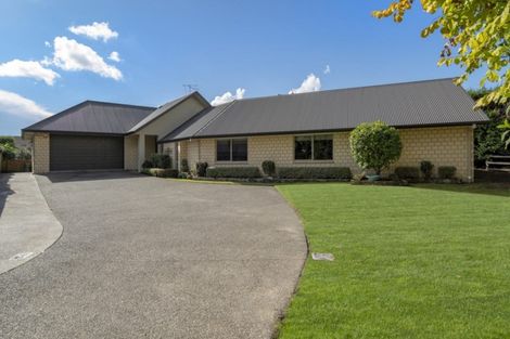 Photo of property in 49r Hollister Lane, Ohauiti, Tauranga, 3112