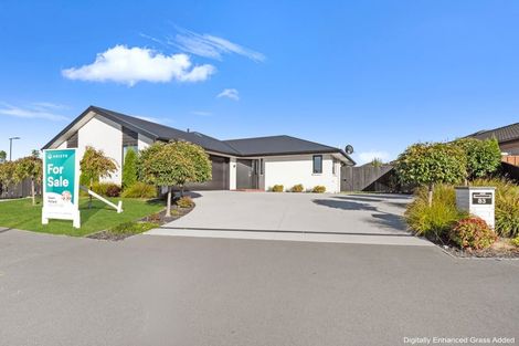 Photo of property in 83 Zabeel Street, Lincoln, 7608