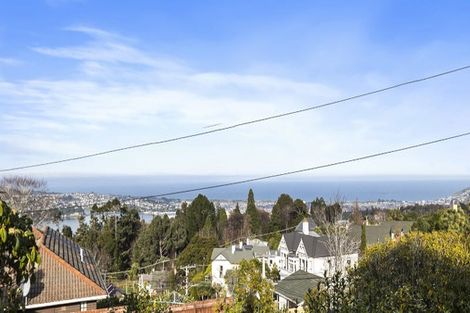 Photo of property in 7 Leven Street, Roslyn, Dunedin, 9010