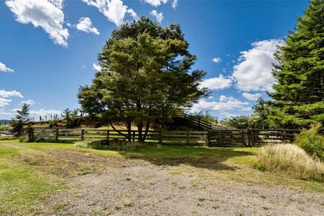 Photo of property in 424a Hot Springs Road, Tahawai, Katikati, 3178