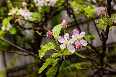 Photo of property in 6 Estuary Close, Warkworth, 0910
