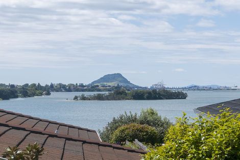 Photo of property in 68 Tutauanui Crescent, Maungatapu, Tauranga, 3112