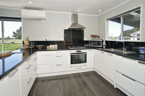 Photo of property in 161 Ngaruawahia Road, Ngaruawahia, Hamilton, 3288