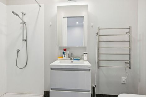 Photo of property in Aniva Terrace, 12 Arney Street, Newtown, Wellington, 6021