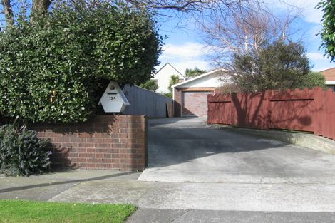 Photo of property in 12a Woodfield Avenue, Roslyn, Palmerston North, 4414