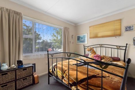 Photo of property in 4 Ellis Street, Alexandra, 9320