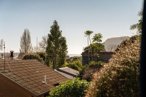 Photo of property in 77a Grange Road, Otumoetai, Tauranga, 3110