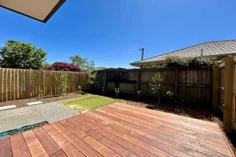 Photo of property in 15 Plunket Street, Spreydon, Christchurch, 8024