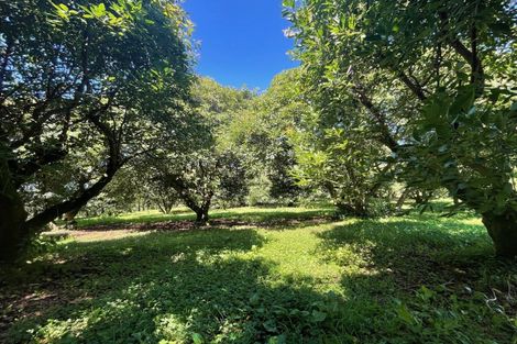 Photo of property in 717a No 3 Road, Te Puke, 3183