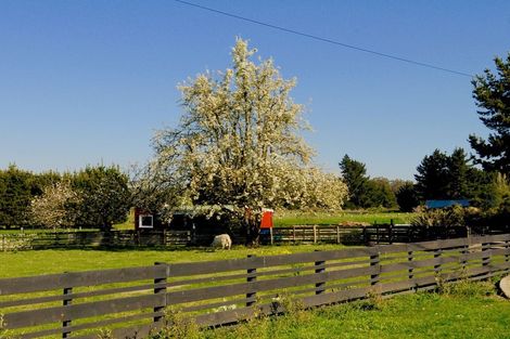 Photo of property in 64 Waihao Back Road, Waimate, 7979