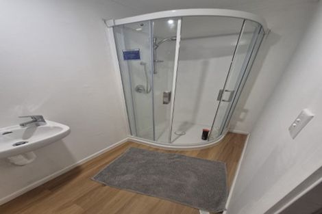Photo of property in 44 Tawa Street, Melville, Hamilton, 3206