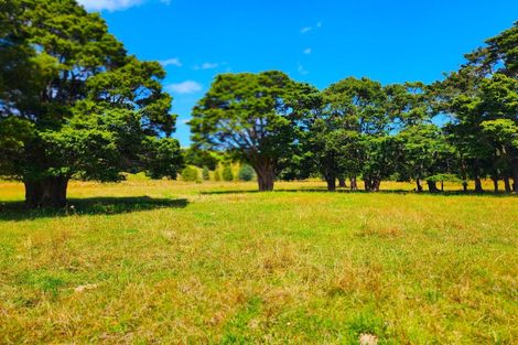 Photo of property in 137 Opouteke Road, Kaihu, Dargaville, 0379