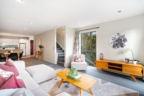 Photo of property in 11/114 Mitchell Street, Brooklyn, Wellington, 6021