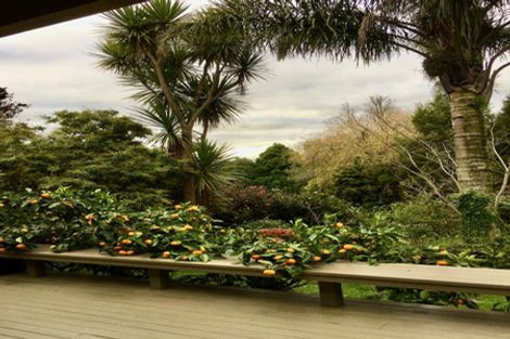 Photo of property in 1320 Highway 22, Pukekawa, Tuakau, 2696