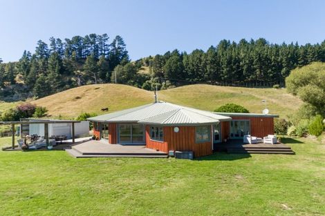 Photo of property in 780 Maraetotara Road, Maraetotara, Waimarama, 4294