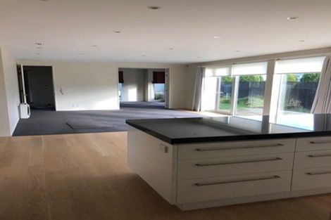 Photo of property in 12 Devonport Lane, St Albans, Christchurch, 8014