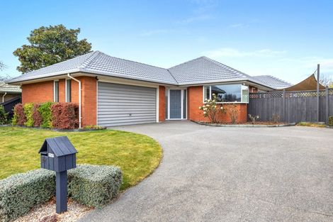 Photo of property in 47 Showgate Avenue, Sockburn, Christchurch, 8042