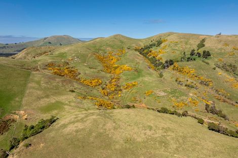 Photo of property in 452 Harington Point Road, Lower Portobello, Dunedin, 9077