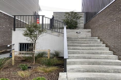 Photo of property in Aniva Terrace, 14 Ferguson Street, Newtown, Wellington, 6021