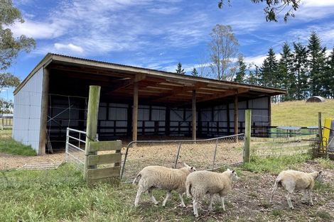 Photo of property in 20 Mckenzie Road, Livingstone, Oamaru, 9491