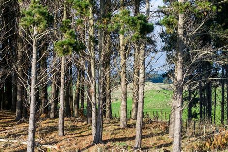 Photo of property in 16 Quail Way, Waitarere, Levin, 5510