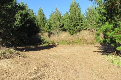 Photo of property in 1028b Mcivor Road, Rotoma, Whakatane, 3194