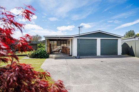 Photo of property in 8 Ashdown Crescent, Feilding, 4702