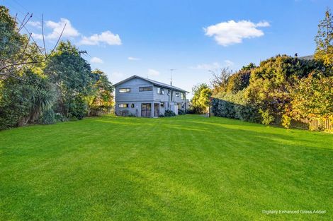 Photo of property in 8 Lodder Lane, Riwaka, Motueka, 7198