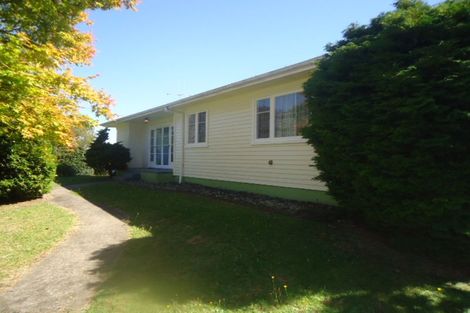 Photo of property in 5 Elizabeth Street, Putaruru, 3411