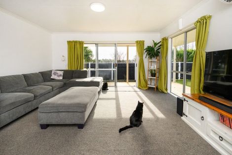 Photo of property in 38 Newton Place, Westbrook, Palmerston North, 4412